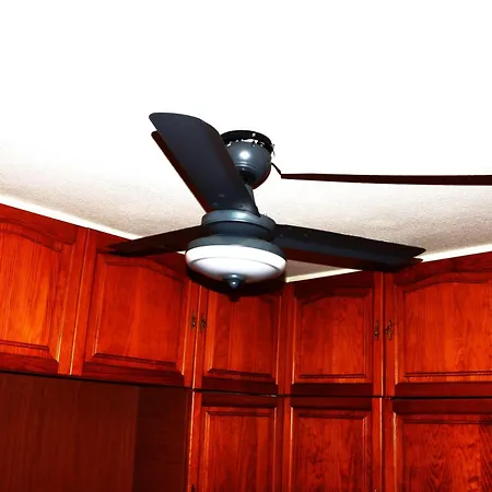 Geranios-san-eugenio-adeje-spain * アデヘ