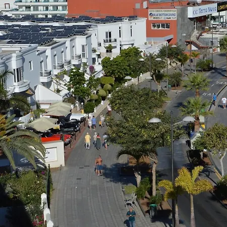 Geranios-san-eugenio-adeje-spain *