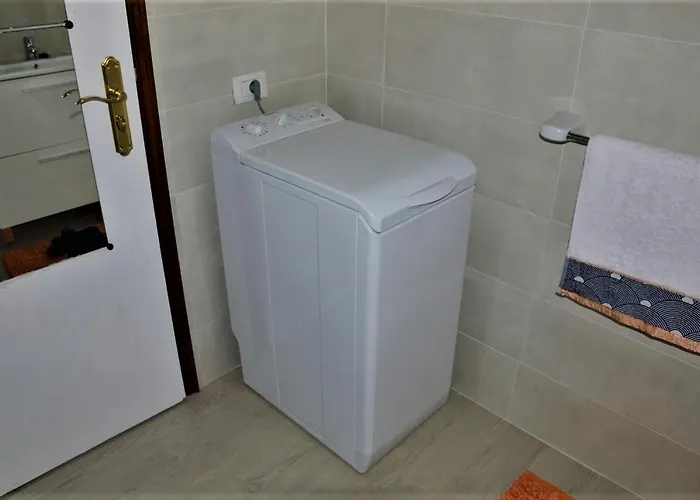 Geranios-san-eugenio-adeje-spain * Costa Adeje (Tenerife)