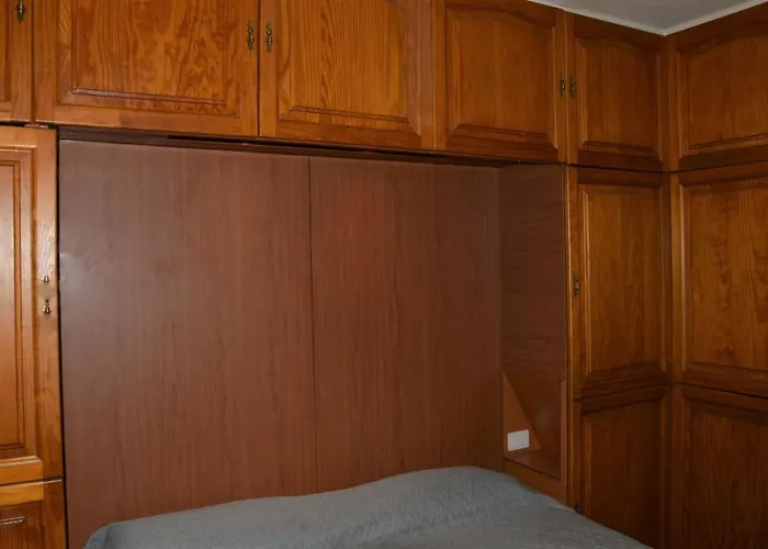 Geranios-san-eugenio-adeje-spain *