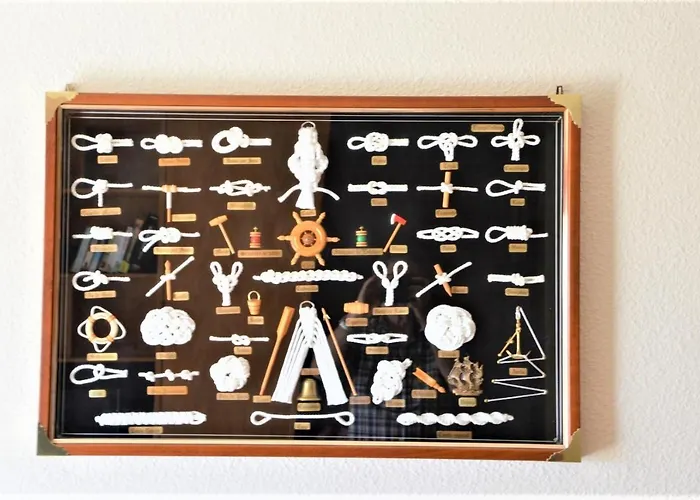 Geranios-san-eugenio-adeje-spain