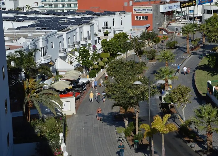 Geranios-san-eugenio-adeje-spain *