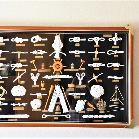 Geranios-san-eugenio-adeje-spain