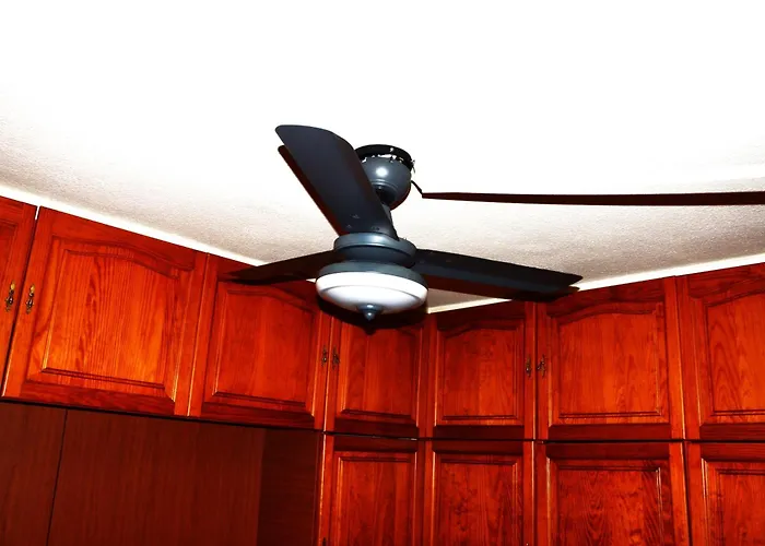 Geranios-san-eugenio-adeje-spain * Costa Adeje (Tenerife)